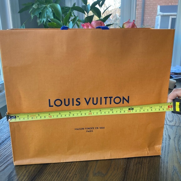 LOUIS VUITTON GIFT BAG - Picture 4 of 6